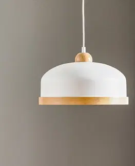 Závesné svietidlá Eko-Light Závesná lampa Studio drevený dekór 1-pl biela