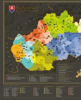 Slovensko a Česká republika Stieracia mapa Slovenska - Kolektív autorov