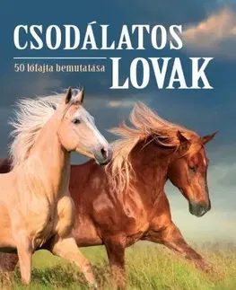 Kone Csodálatos lovak - 50 lófajta bemutatása