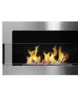 Biokrby visiace Biokrb 650x400 inox strieborný so sklom