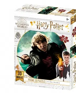 3D puzzle 3D puzzle Harry Potter: Ron Weasley 300 dielikov