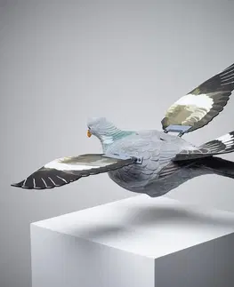poľovníc Balabán poletujúceho holuba s mávajúcimi krídlami 920