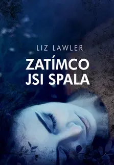 Detektívky, trilery, horory Zatímco jsi spala - Liz Lawler