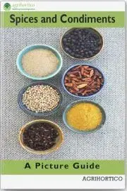 Kuchárky - ostatné Spices and Condiments