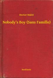Svetová beletria Nobody's Boy (Sans Famille) - Hector Malot
