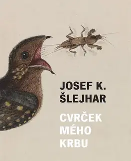 Česká beletria Cvrček mého krbu - Josef Karel Šlejhar