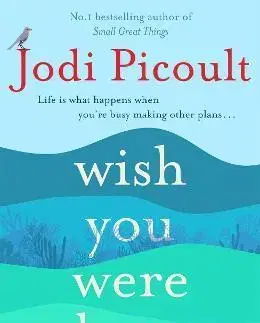 Svetová beletria Wish You Were Here - Jodi Picoult
