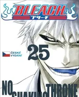 Manga Bleach 25: No Shaking Throne - Kubo Tite