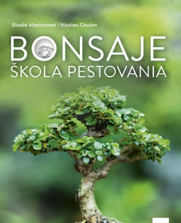 Izbové rastliny Bonsaje: škola pestovania - Elodie Marconnet,Nicolas Coulon