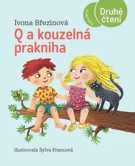 Pre deti a mládež - ostatné Q a kouzelná prakniha - Ivona Březinová