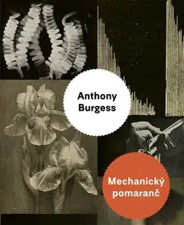 Svetová beletria Mechanický pomaranč - Anthony Burgess