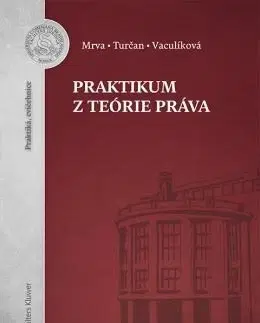 Teória práva Praktikum z teórie práva - Michal Mrva,Martin Turčan,Nadežda Vaculíková