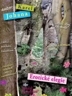 Česká beletria Erotické elegie - Karel Johana