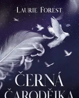 Sci-fi a fantasy Černá čarodějka - Laurie Forest