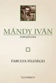 Svetová beletria Fabulya feleségei - Iván Mándy