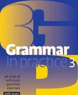 Gramatika a slovná zásoba Grammar in Practice 3