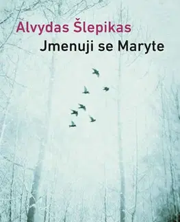Svetová beletria Jmenuji se Maryte - Alvydas Šlepikas