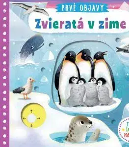 Leporelá, krabičky, puzzle knihy Prvé objavy – Zvieratá v zime - Jenny Wren