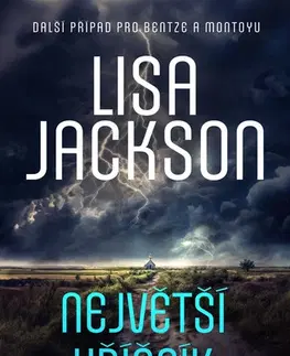 Detektívky, trilery, horory Největší hříšník - Lisa Jackson