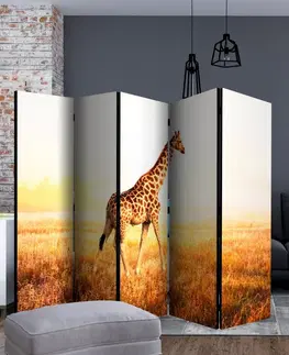 Paravány Paraván giraffe - walk Dekorhome 225x172 cm (5-dielny)