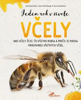 Biológia, fauna a flóra Jeden rok v živote včely - Kolektív autorov,Lenka Fifková Školníková