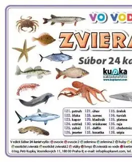 Učebnice pre ZŠ - ostatné Súbor 24 kariet - zvieratá (vo vode) - Petr Kupka