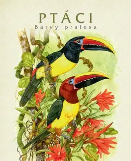 Biológia, fauna a flóra Ptáci Barvy pralesa - Jan Dungel