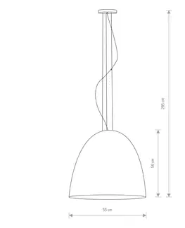 Závesné svietidlá Euluna Závesné svietidlo Egg L z kovu, Ø 55 cm, čierna