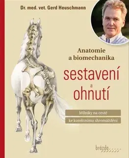 Kone Anatomie a biomechanika sestavení a ohnutí - Gerd Heuschmann