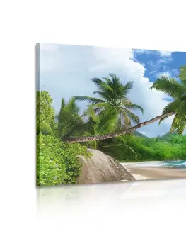 Obrazy prírody a krajiny Obraz nádherná pláž na ostrove Seychely