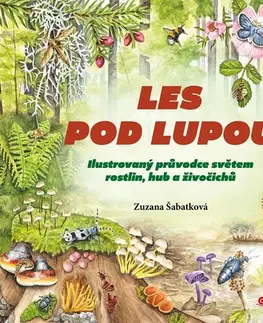 Pre deti a mládež - ostatné Les pod lupou - Zuzana Šabatková
