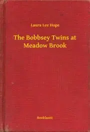 Svetová beletria The Bobbsey Twins at Meadow Brook - Hope Laura Lee