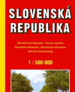 Do auta Automapa Slovensko1:500 000