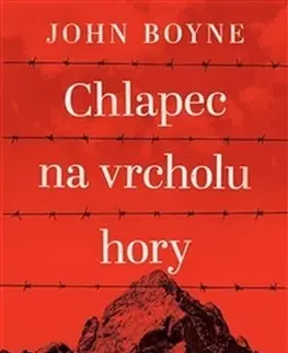 Svetová beletria Chlapec na vrcholu hory - John Boyne