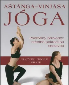 Joga, meditácia Aštánga-Vinjása jóga - Gregor Maehle,Michal Šubrt