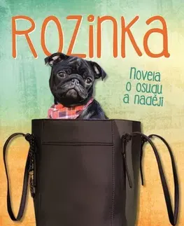Novely, poviedky, antológie Rozinka - Kamila Holásková