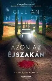 Detektívky, trilery, horory Azon az éjszakán - Gillian McAllister