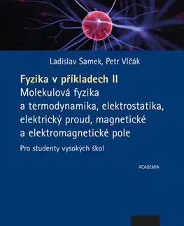 Pre vysoké školy Fyzika v příkladech II. - Petr Vlčák,Ladislav Samek