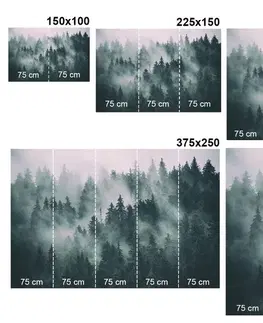 Samolepiace tapety Samolepiaca fototapeta les v hmle