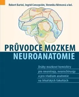 Medicína - ostatné Průvodce mozkem - Neuroanatomie - Kolektív autorov