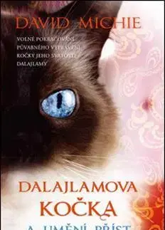 Humor a satira Dalajlamova kočka a umění příst - David Michie,Petra Vlčková