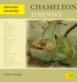 Zvieratá, chovateľstvo - ostatné Chameleon jemenský - Nataša Velenská