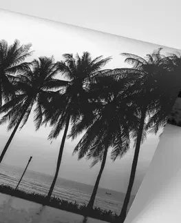 Samolepiace tapety Samolepiaca tapeta západ slnka nad palmami v čiernobielom