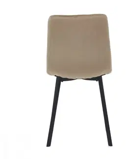 Jedálenské zostavy Jedálenská stolička DCL-973 Autronic Zelená