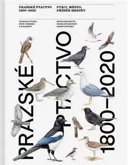 Biológia, fauna a flóra Pražské ptactvo 1800–2020 - Kolektív autorov