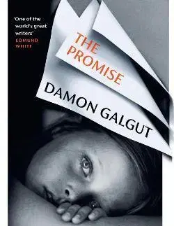 Svetová beletria The Promise - Damon Galgut