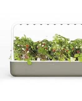 Gadgets Click and Grow The Smart Garden 9, béžová