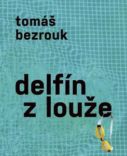 Česká beletria Delfín z louže - Tomáš Bezrouk