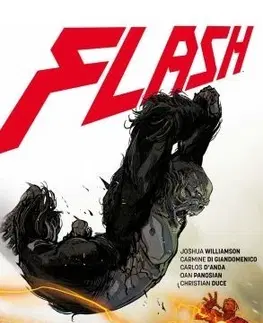 Komiksy Flash 7: Dokonalá bouře - Joshua Williamson,Michael Talián