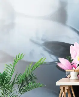 Samolepiace tapety Samolepiaca fototapeta lotosový kvet v jazere